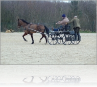 Image au hasard