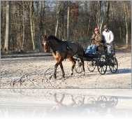 Image au hasard